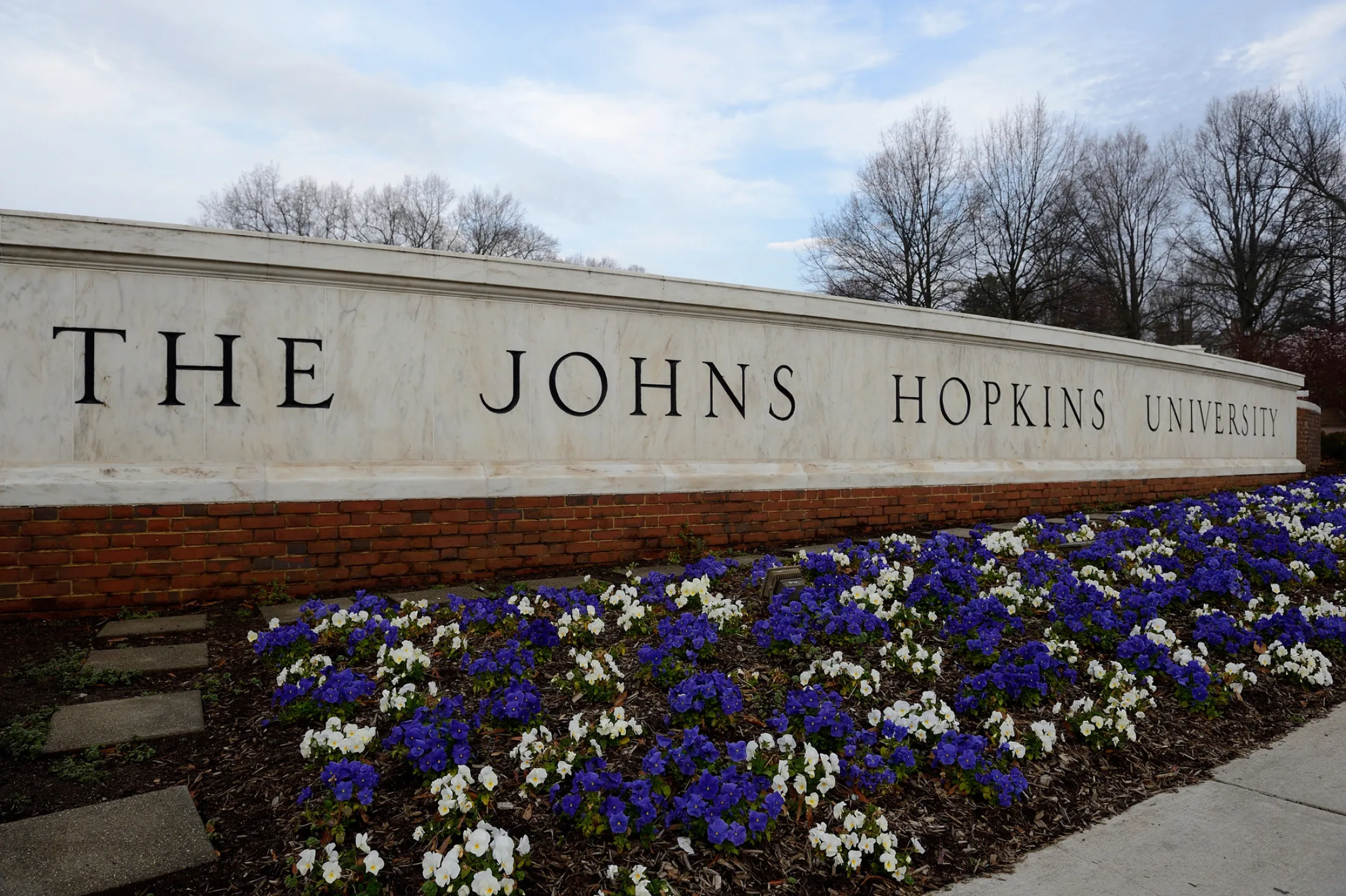 image banner for How AMQ’s Zilo Chair Helped Johns Hopkins Get Back on Budget new article