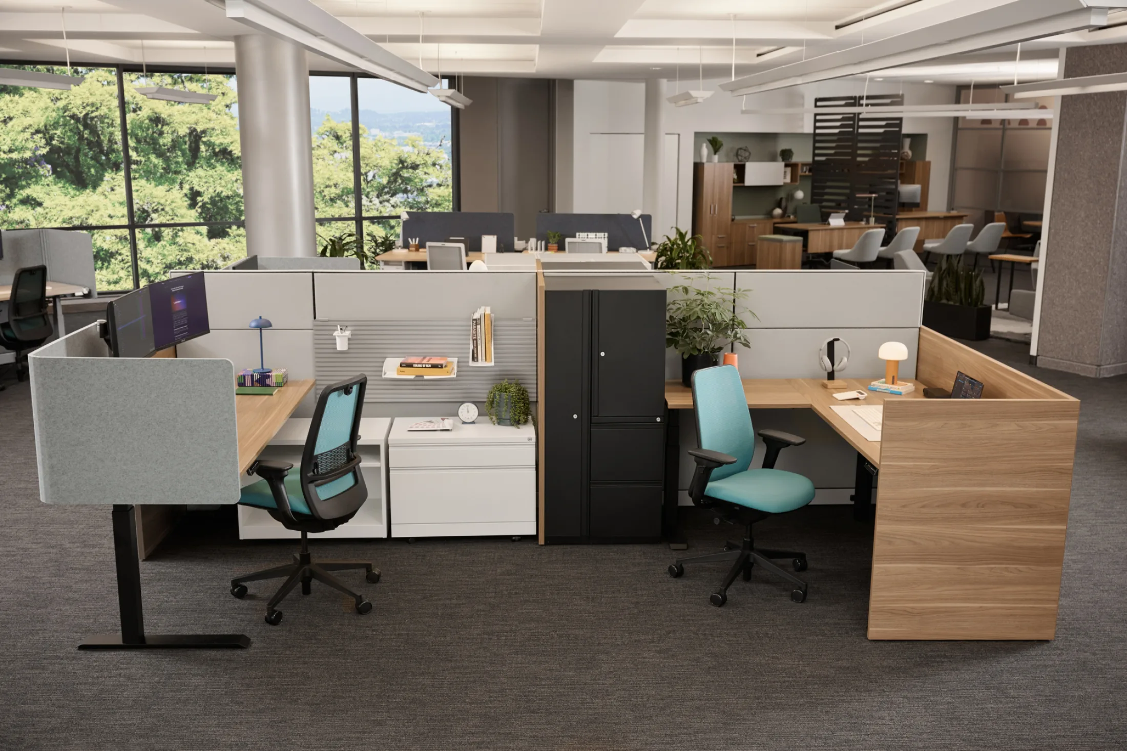 AMQ Showroom 0237