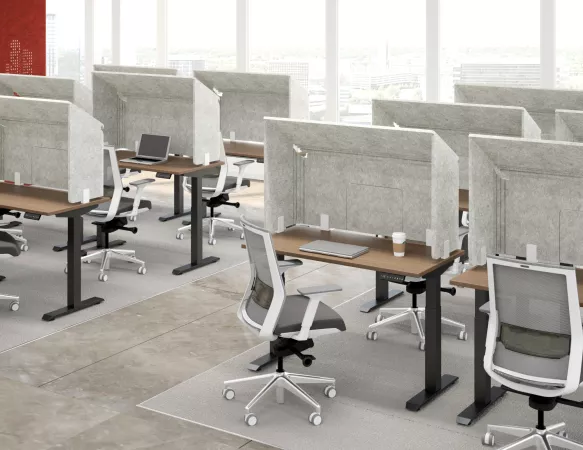AMQ 3F hooded acoustic screens across height-adjustable workstations