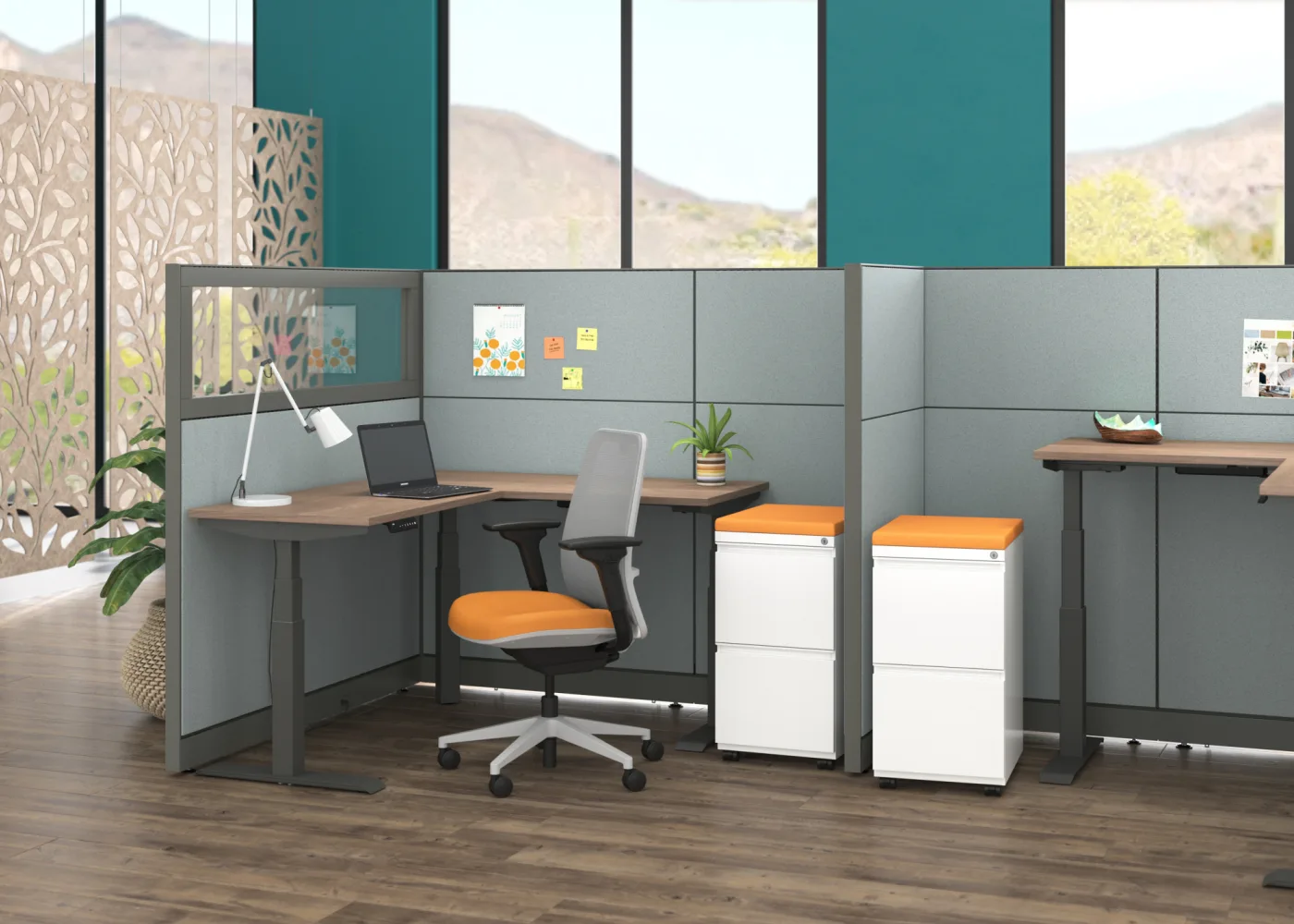 Gallery image 7